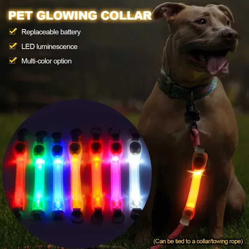 Pet light anti-loss safety traction collar multi-color pendant outdoor waterproof warning Led flashing light strip