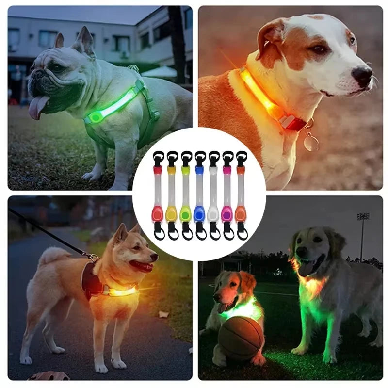 Pet light anti-loss safety traction collar multi-color pendant outdoor waterproof warning Led flashing light strip